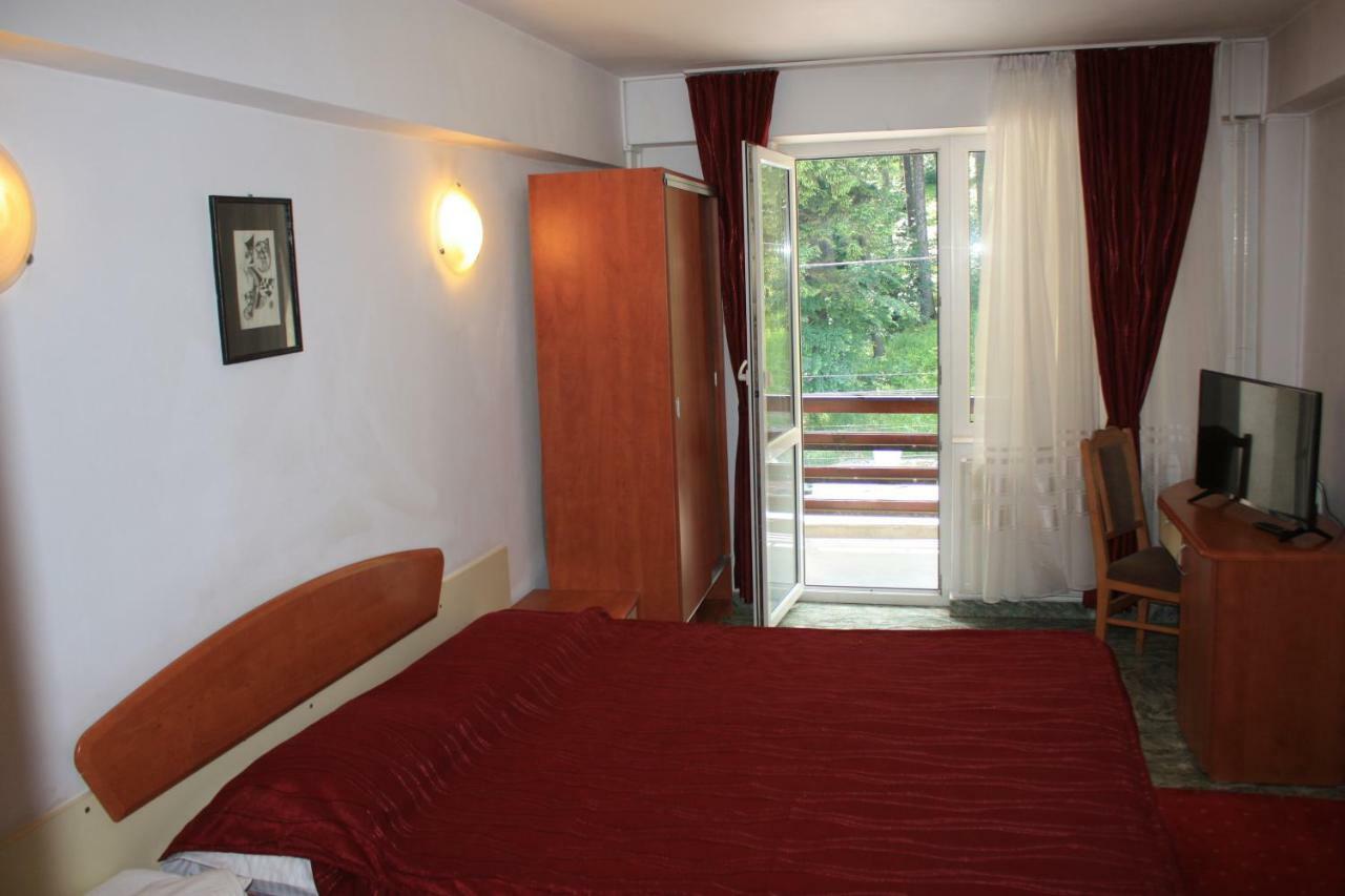 Vila Mihail Hotel Buşteni Екстериор снимка