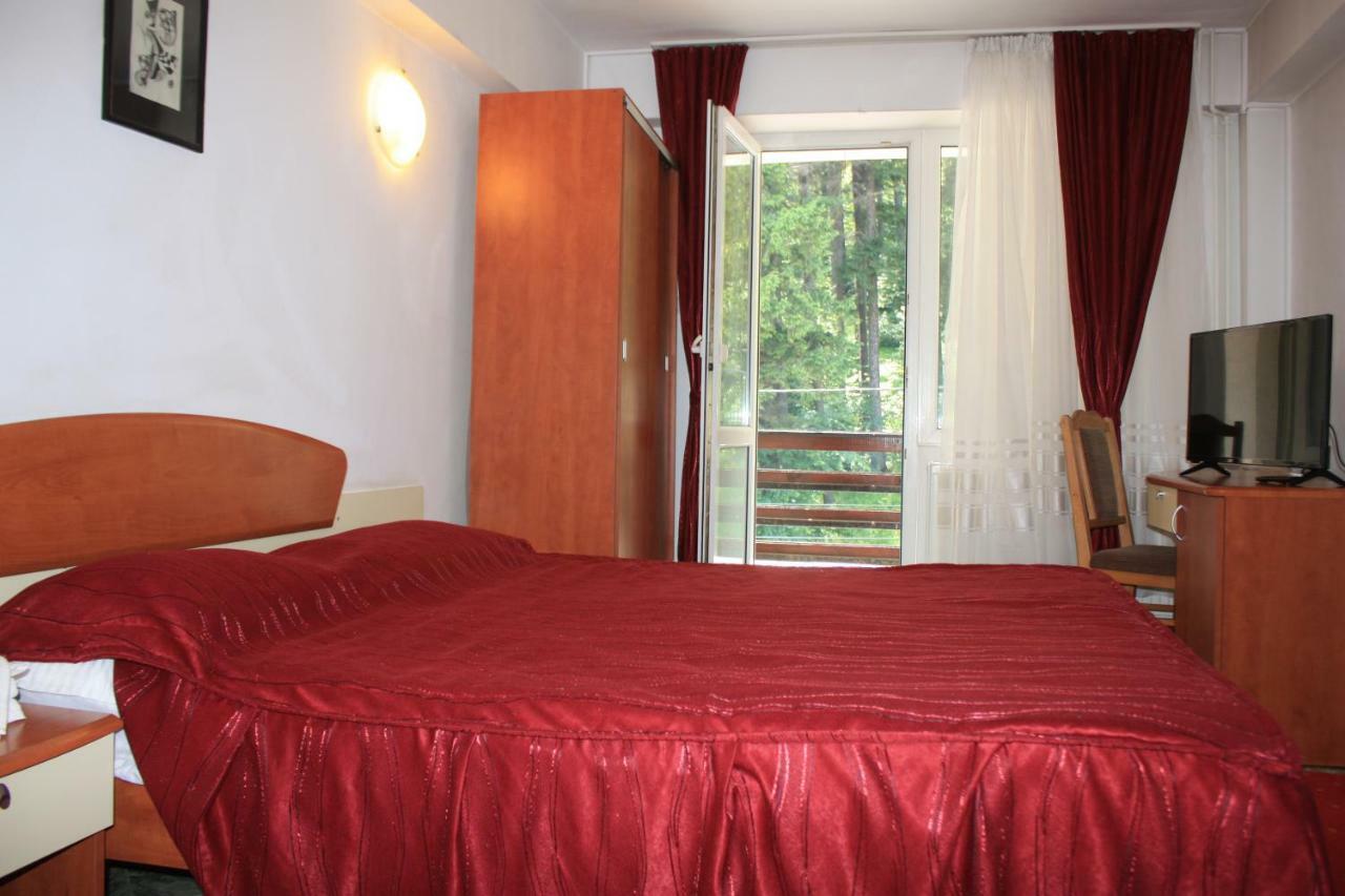 Vila Mihail Hotel Buşteni Екстериор снимка